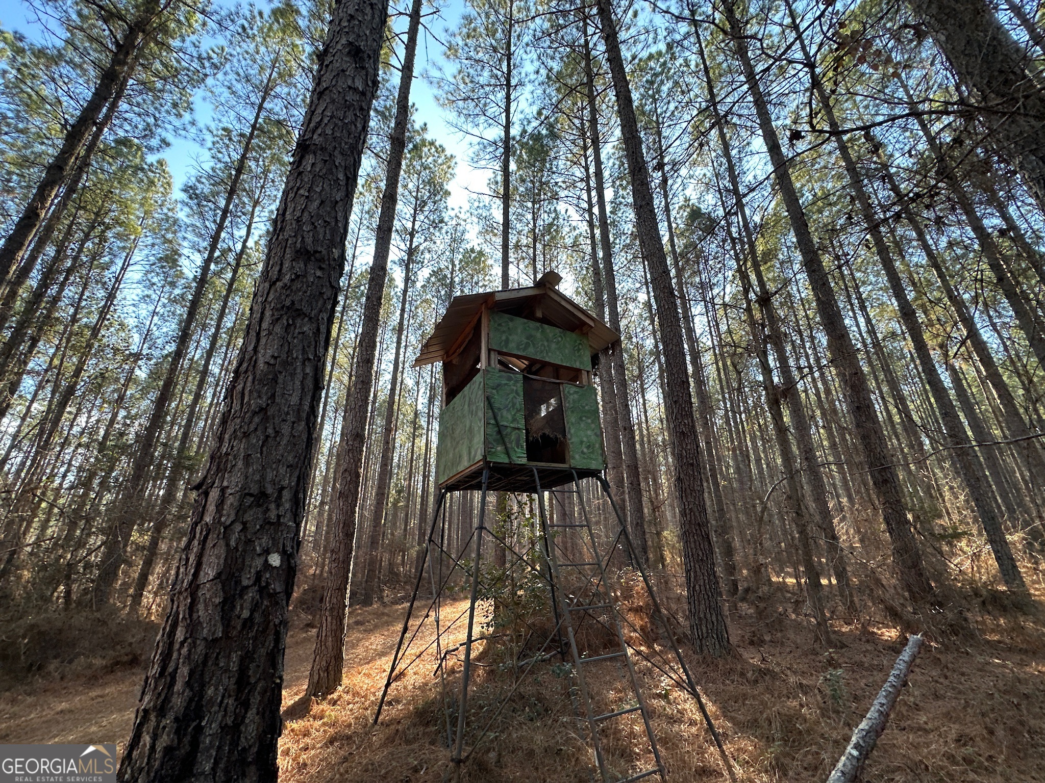 198 Culverton Church Road Sparta, GA 31087 - Photo 25 of 94 a view of a pathway of a building