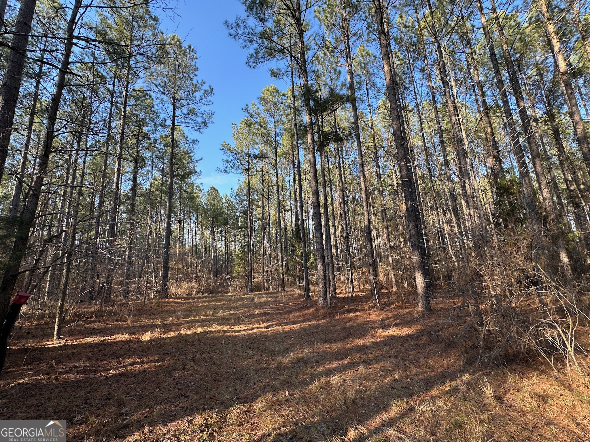 198 Culverton Church Road Sparta, GA 31087 - Photo 26 of 94