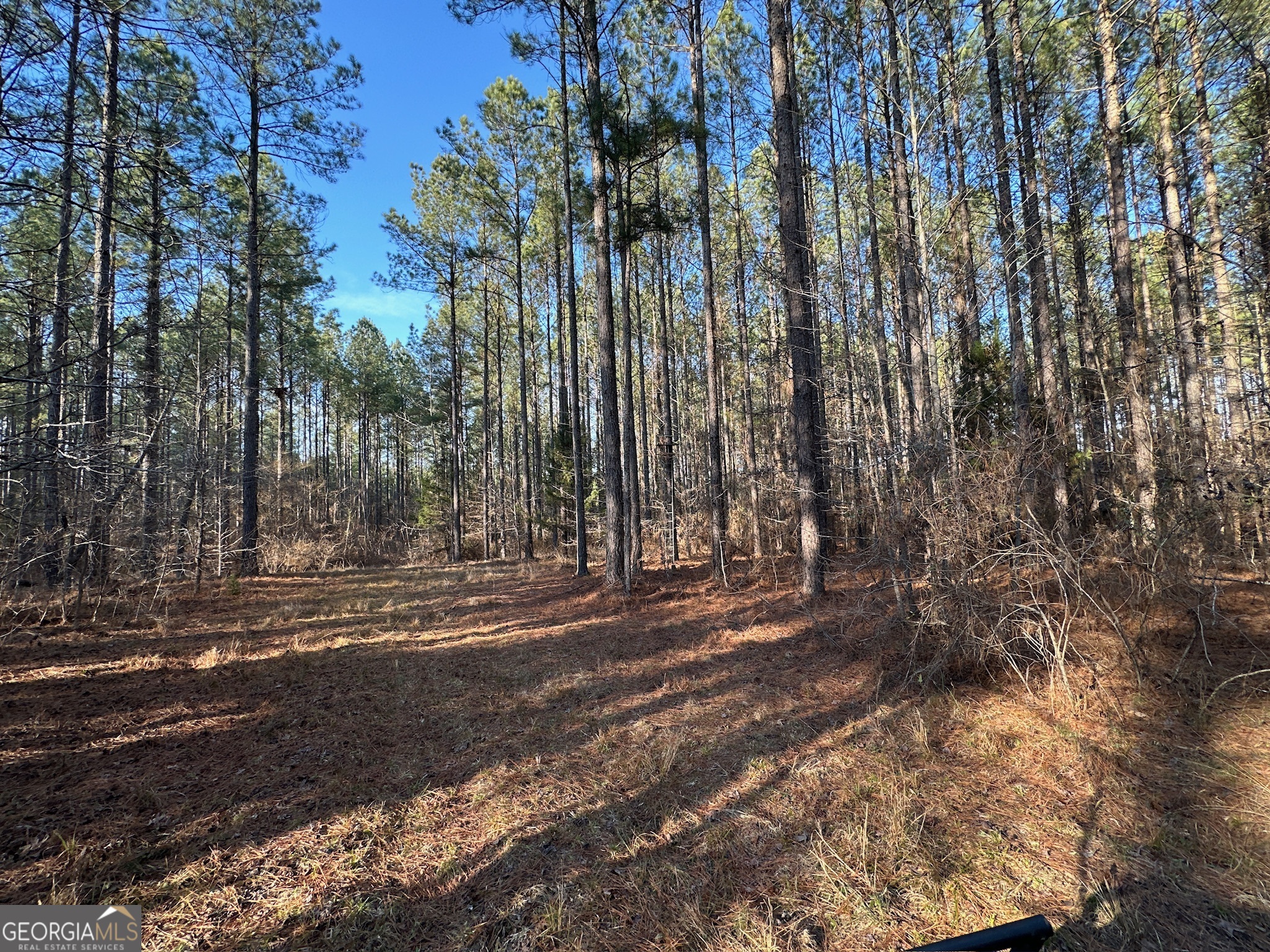 198 Culverton Church Road Sparta, GA 31087 - Photo 27 of 94