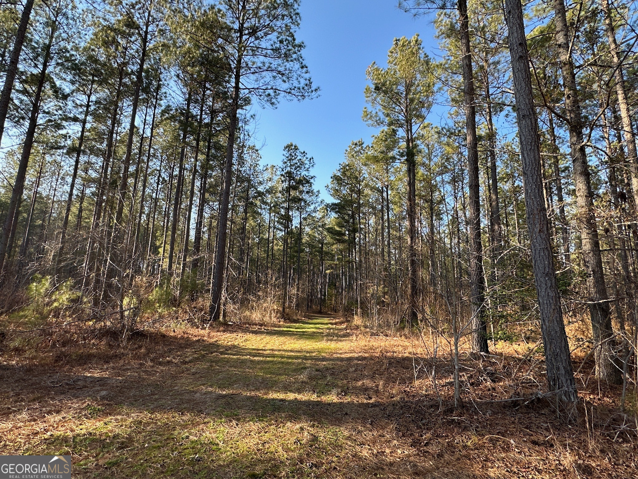 198 Culverton Church Road Sparta, GA 31087 - Photo 30 of 94
