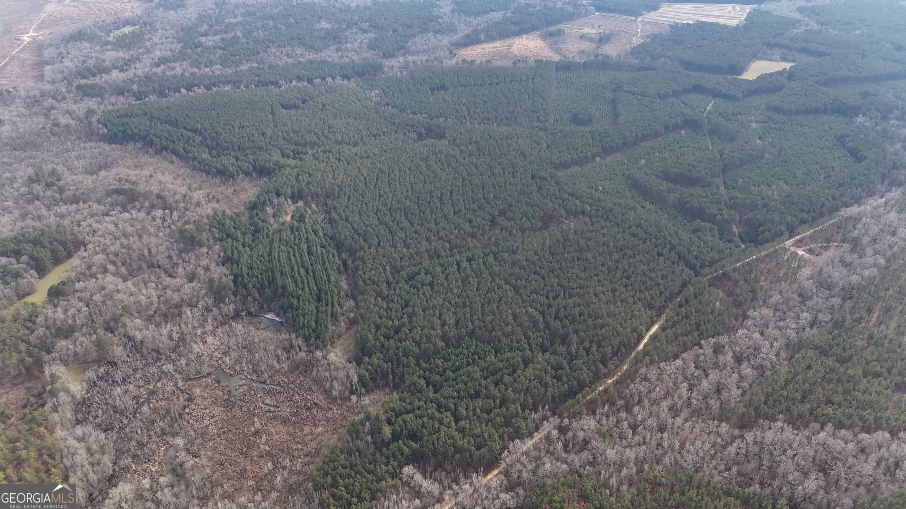 198 Culverton Church Road Sparta, GA 31087 - Photo 3 of 94