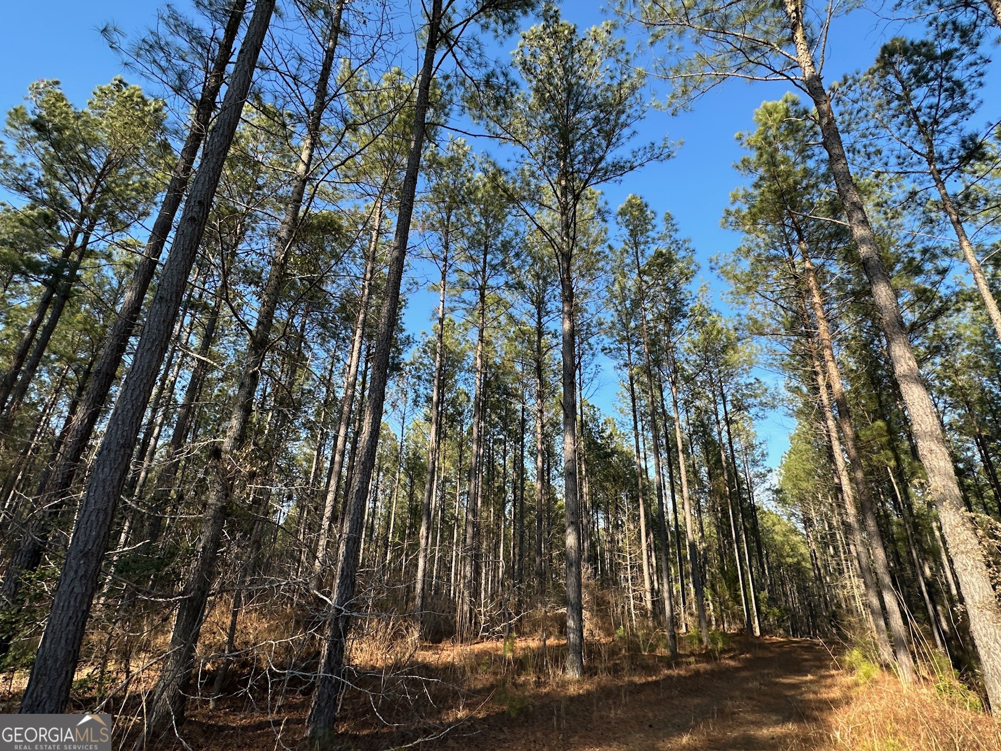 198 Culverton Church Road Sparta, GA 31087 - Photo 31 of 94