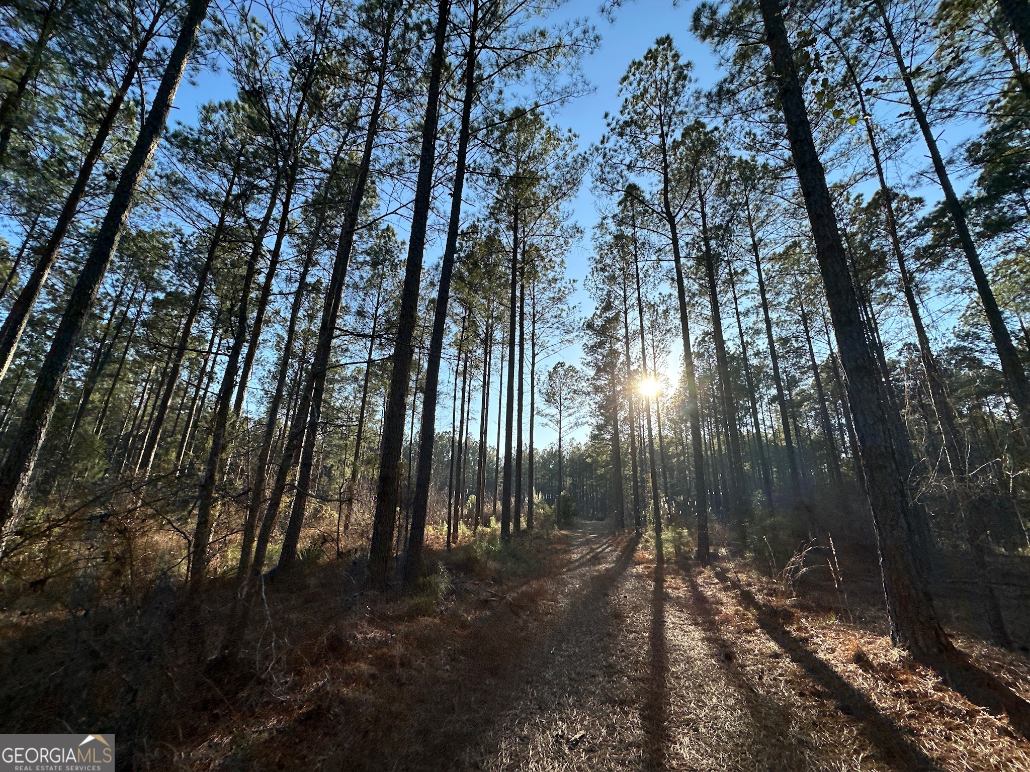 198 Culverton Church Road Sparta, GA 31087 - Photo 39 of 94 a view of outdoor space and yard