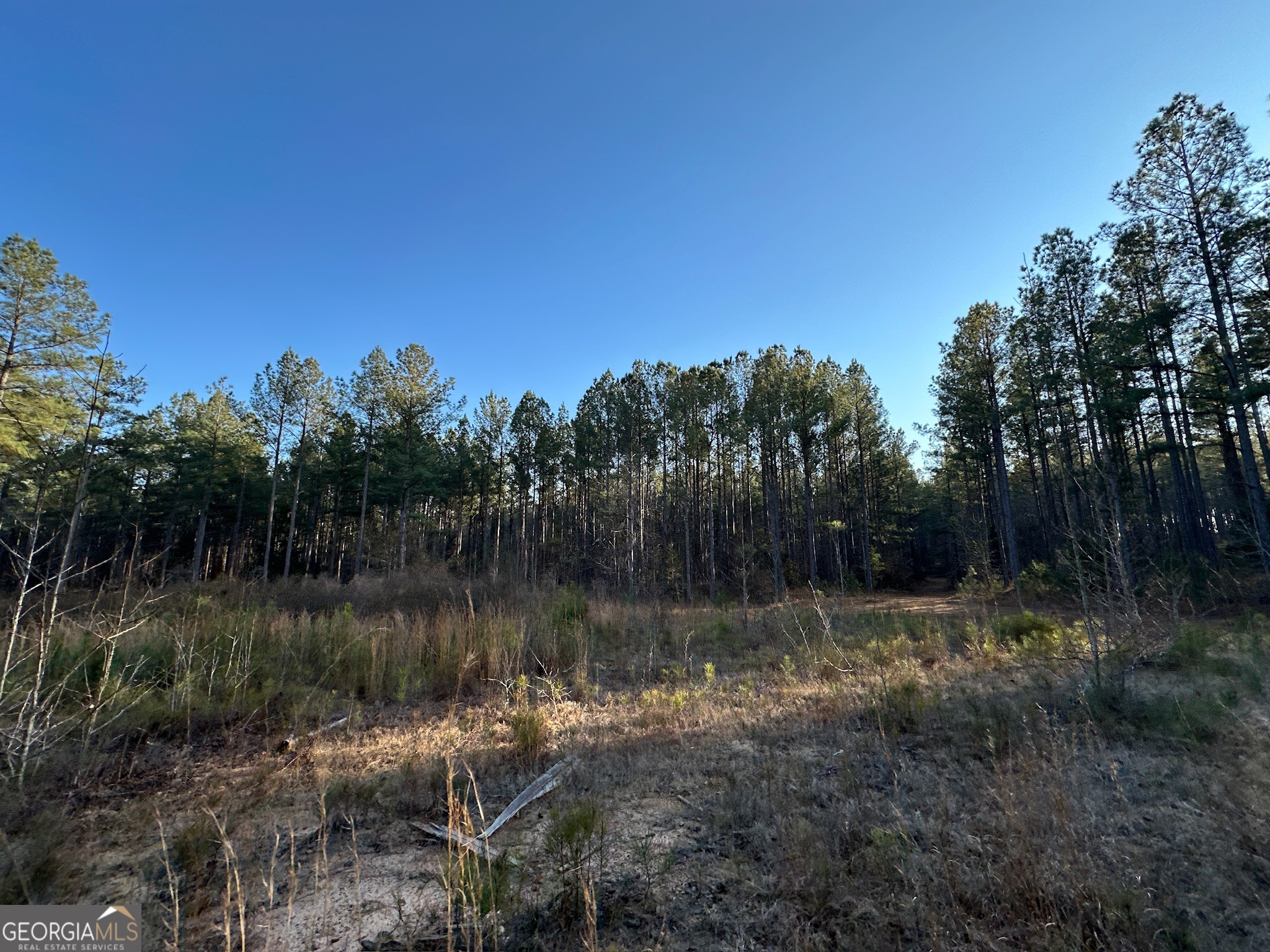 198 Culverton Church Road Sparta, GA 31087 - Photo 42 of 94 a view of a lake with a yard and trees