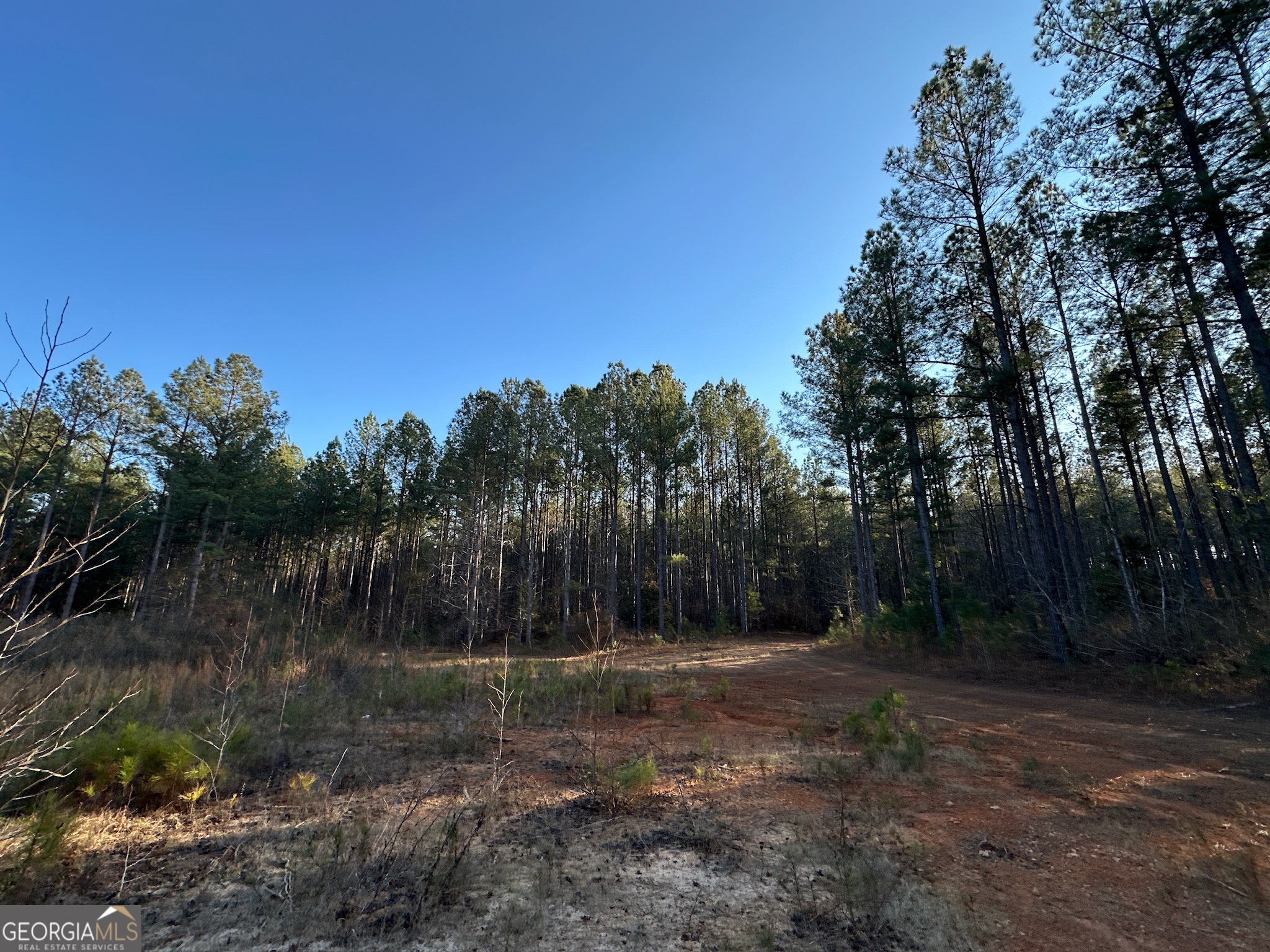 198 Culverton Church Road Sparta, GA 31087 - Photo 43 of 94 a view of backyard with green space