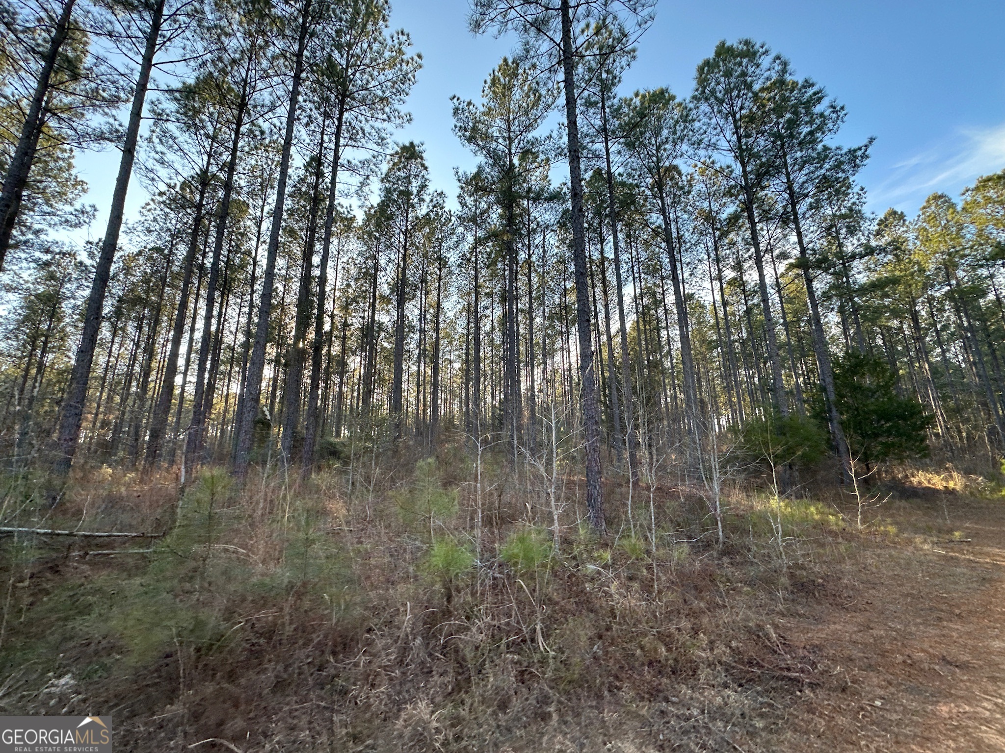 198 Culverton Church Road Sparta, GA 31087 - Photo 44 of 94