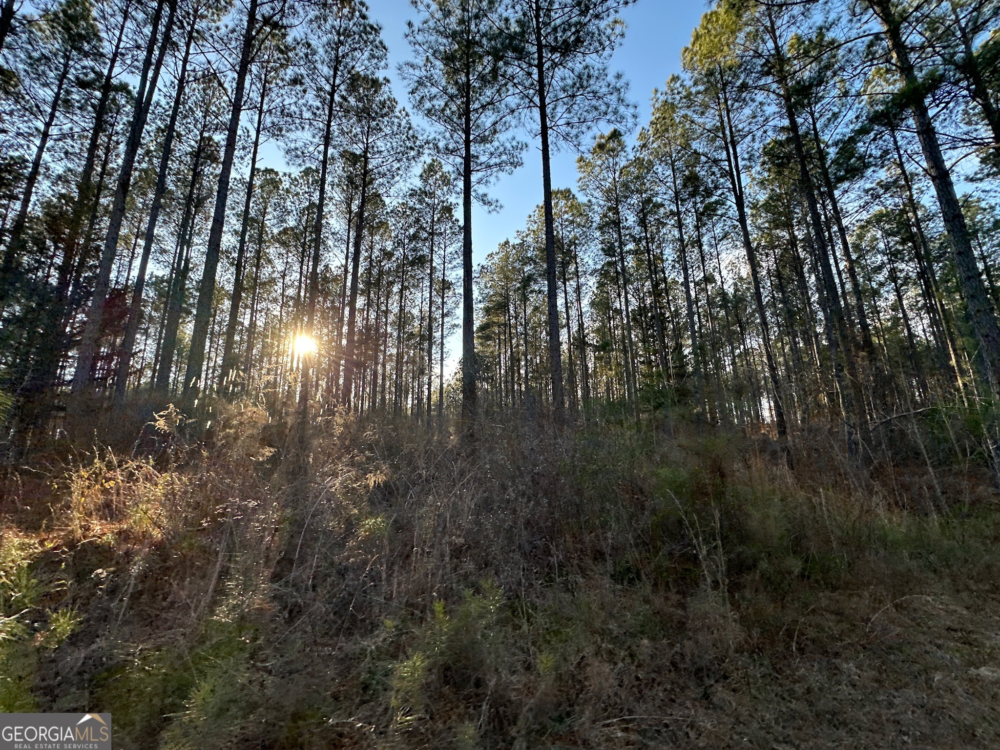 198 Culverton Church Road Sparta, GA 31087 - Photo 45 of 94
