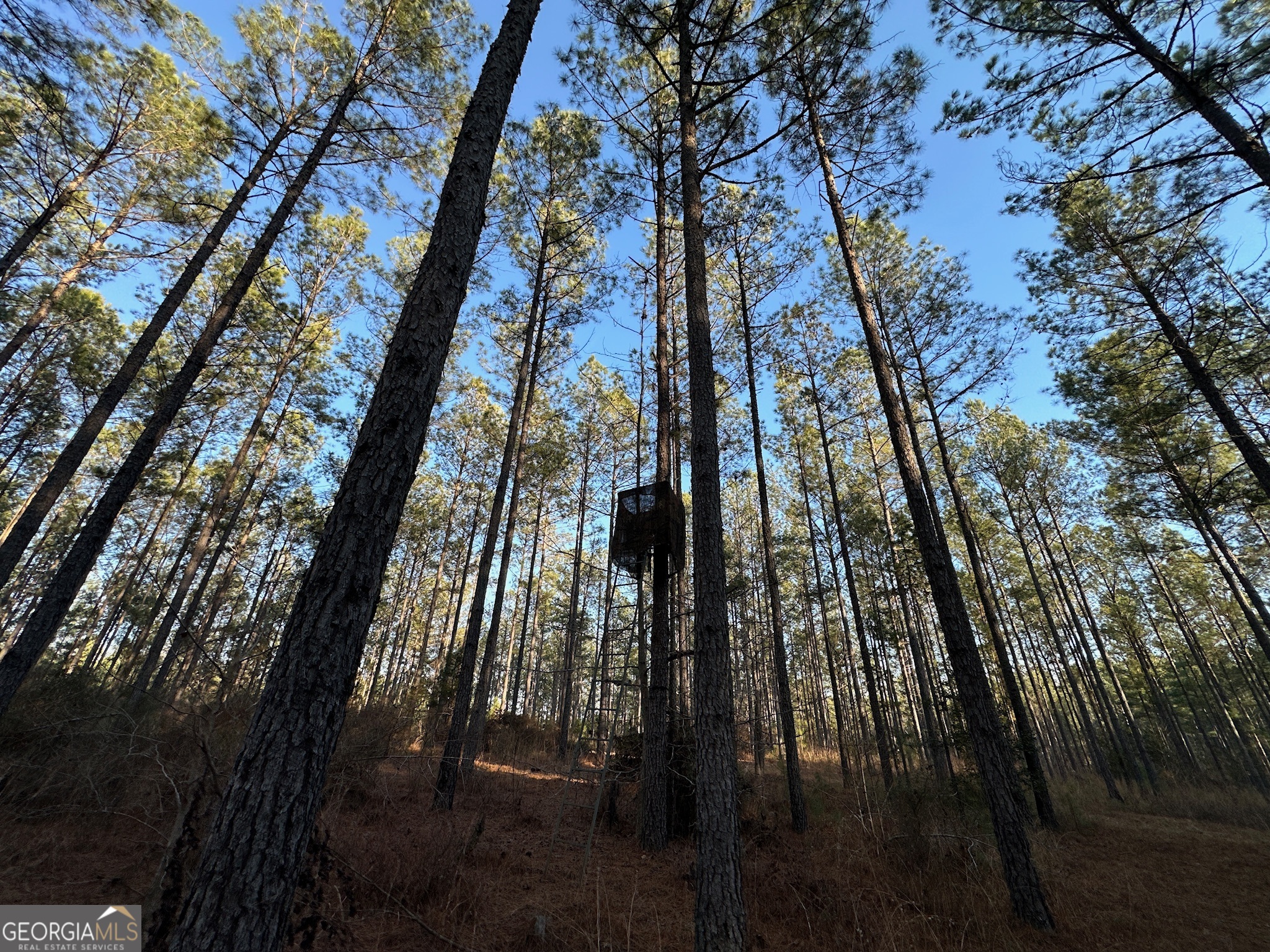 198 Culverton Church Road Sparta, GA 31087 - Photo 47 of 94 a view of outdoor space