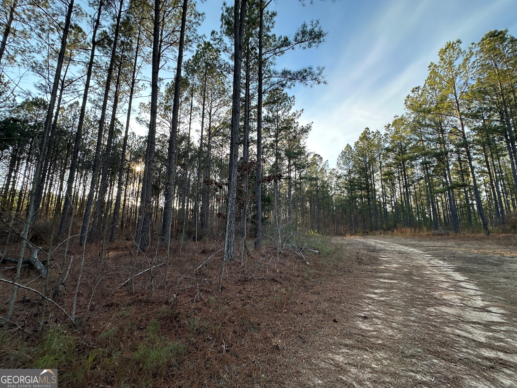 198 Culverton Church Road Sparta, GA 31087 - Photo 51 of 94 a view of a forest with trees in the background