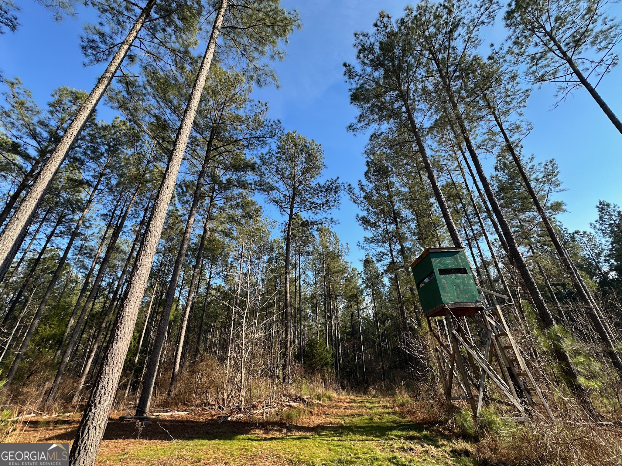 198 Culverton Church Road Sparta, GA 31087 - Photo 53 of 94