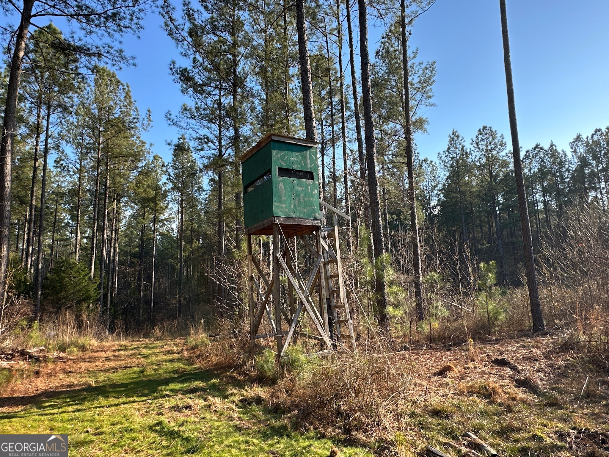 198 Culverton Church Road Sparta, GA 31087 - Photo 54 of 94