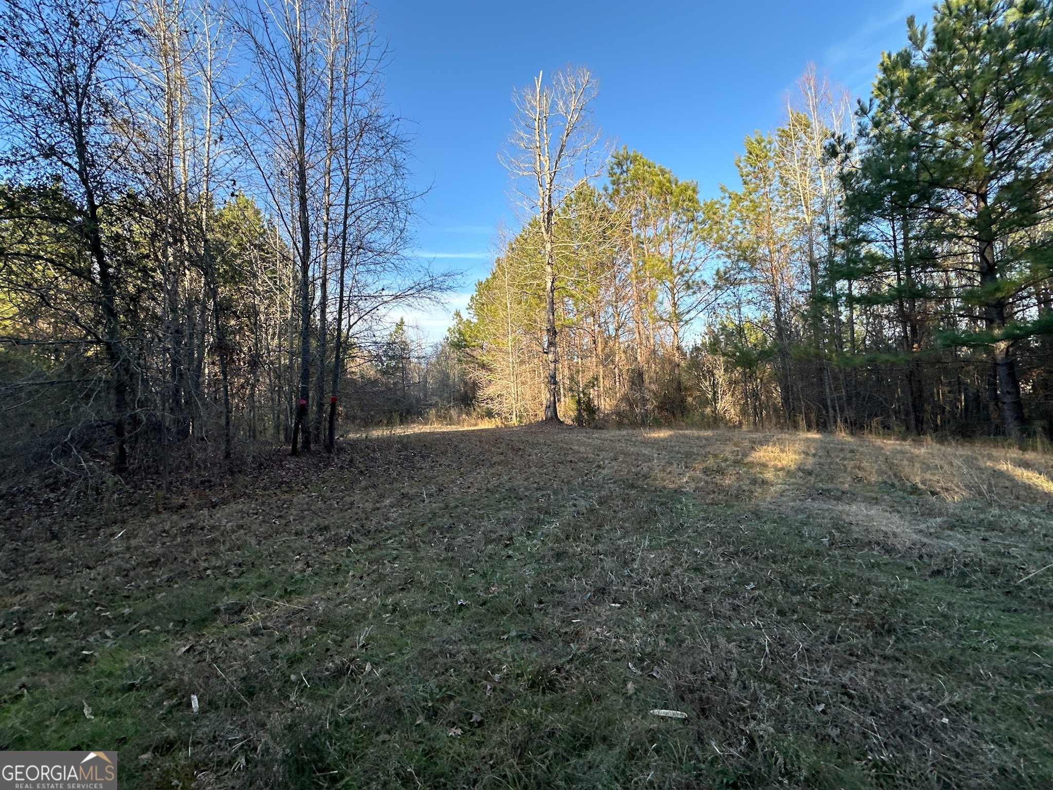 198 Culverton Church Road Sparta, GA 31087 - Photo 55 of 94