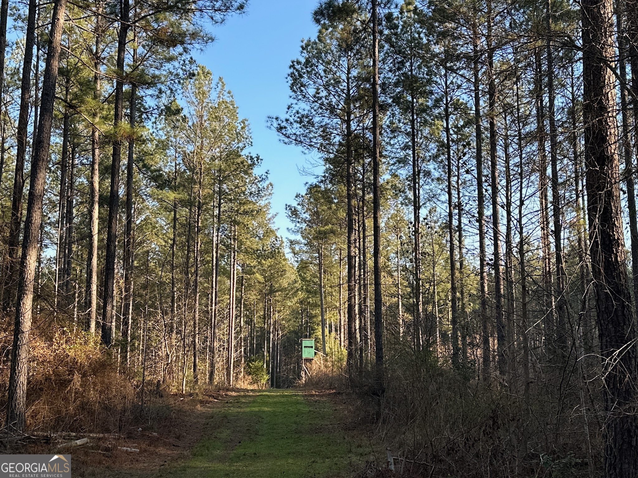 198 Culverton Church Road Sparta, GA 31087 - Photo 57 of 94 a view of outdoor space and yard