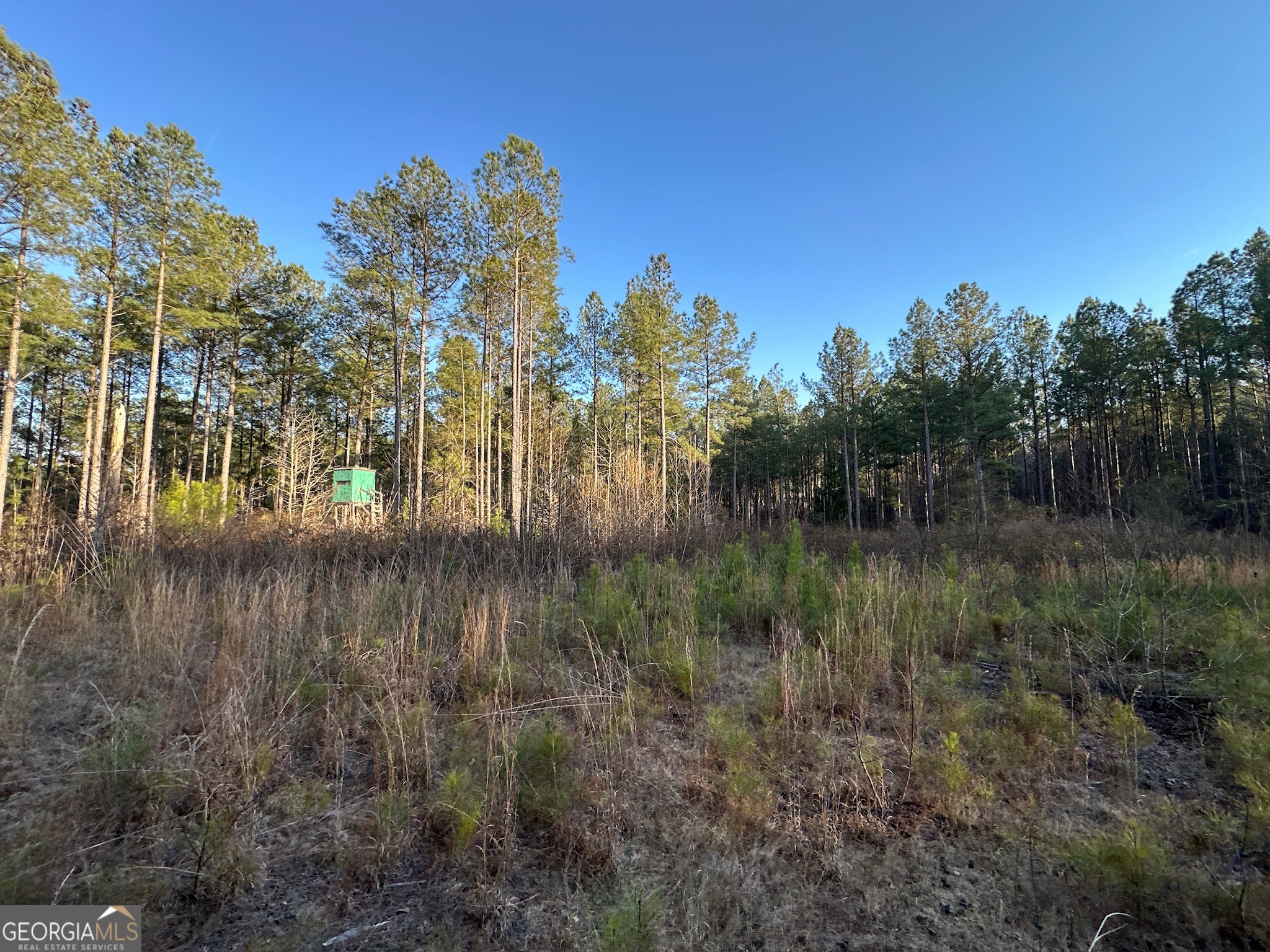 198 Culverton Church Road Sparta, GA 31087 - Photo 58 of 94 a view of river covered by trees and buildings