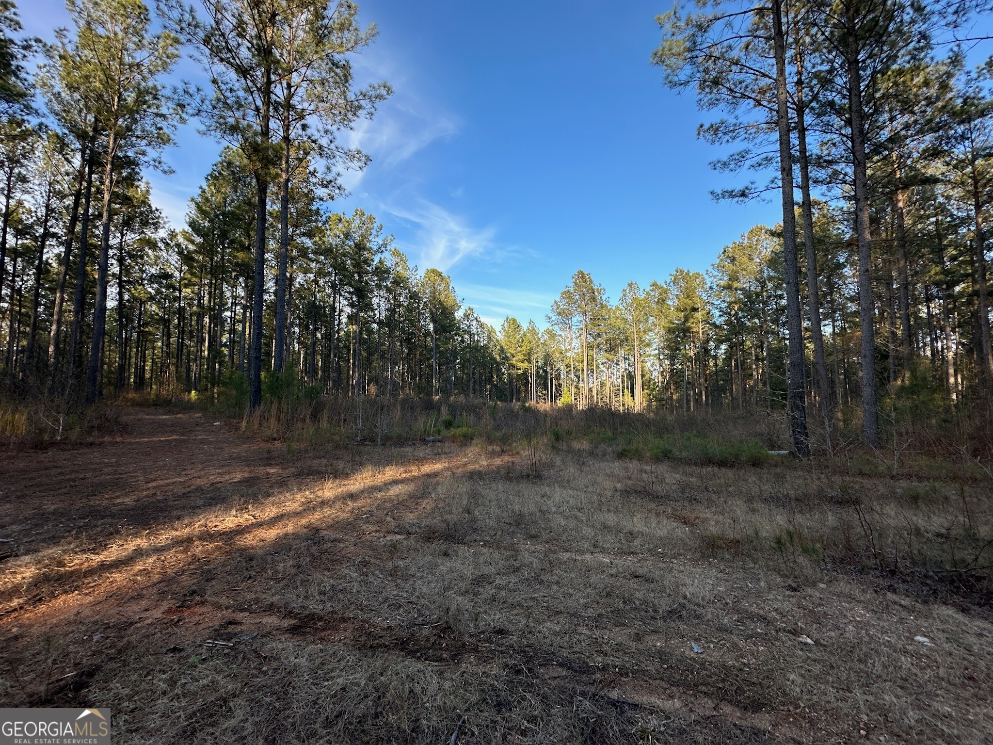 198 Culverton Church Road Sparta, GA 31087 - Photo 60 of 94