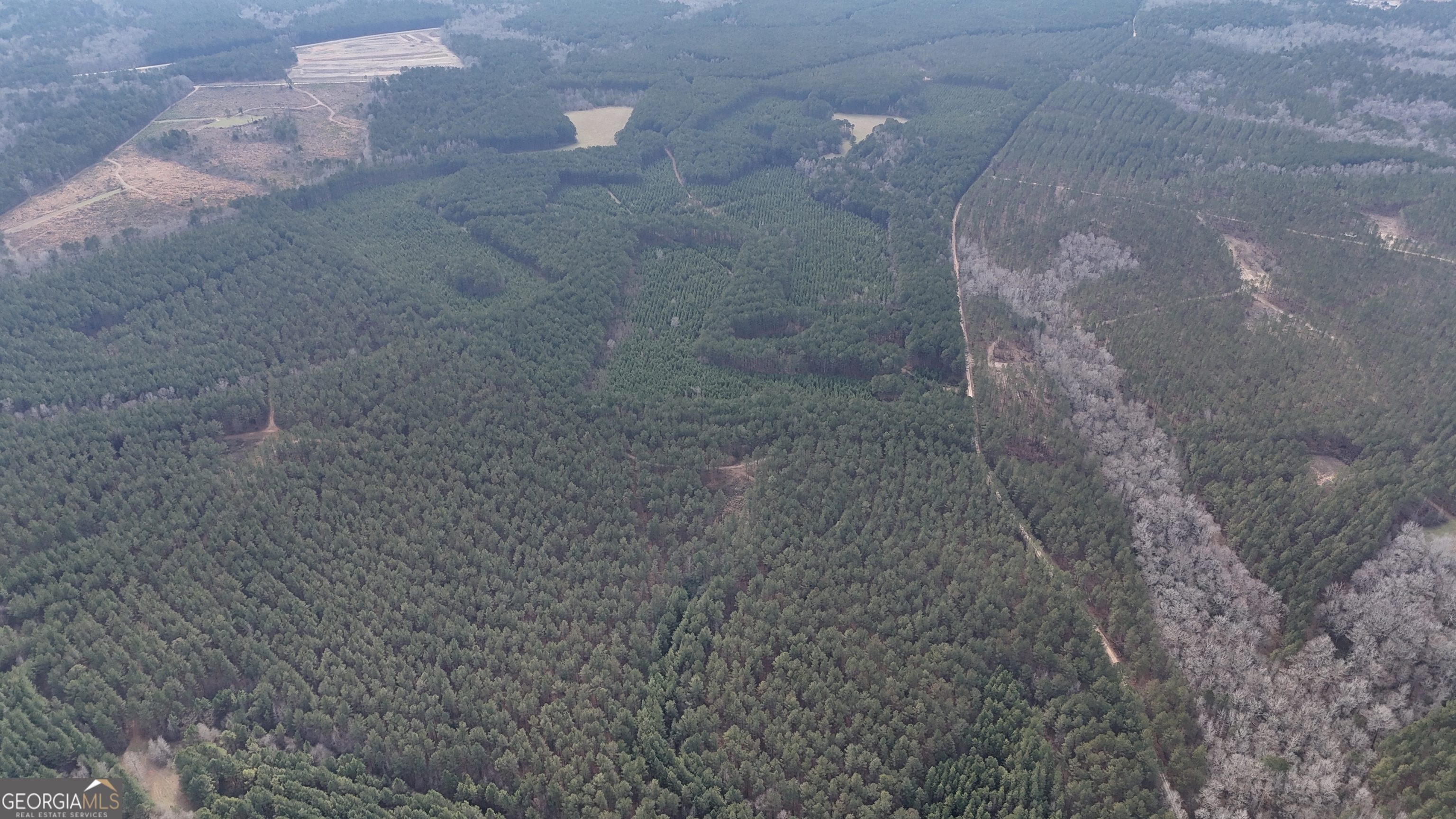 198 Culverton Church Road Sparta, GA 31087 - Photo 6 of 94