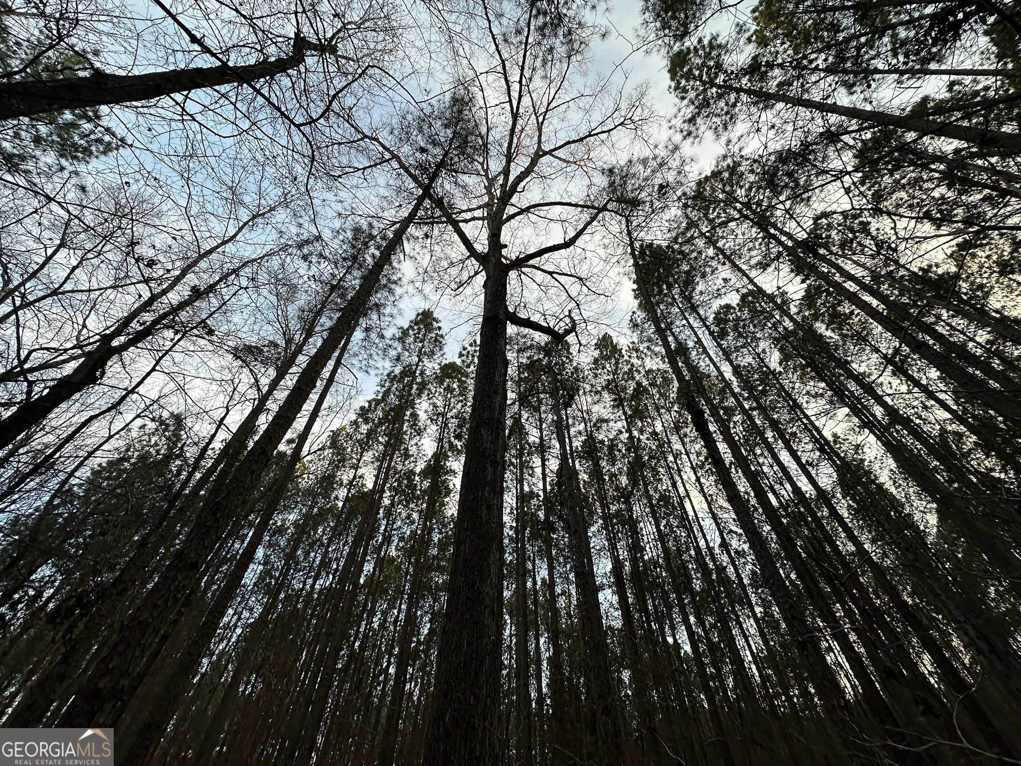 198 Culverton Church Road Sparta, GA 31087 - Photo 62 of 94