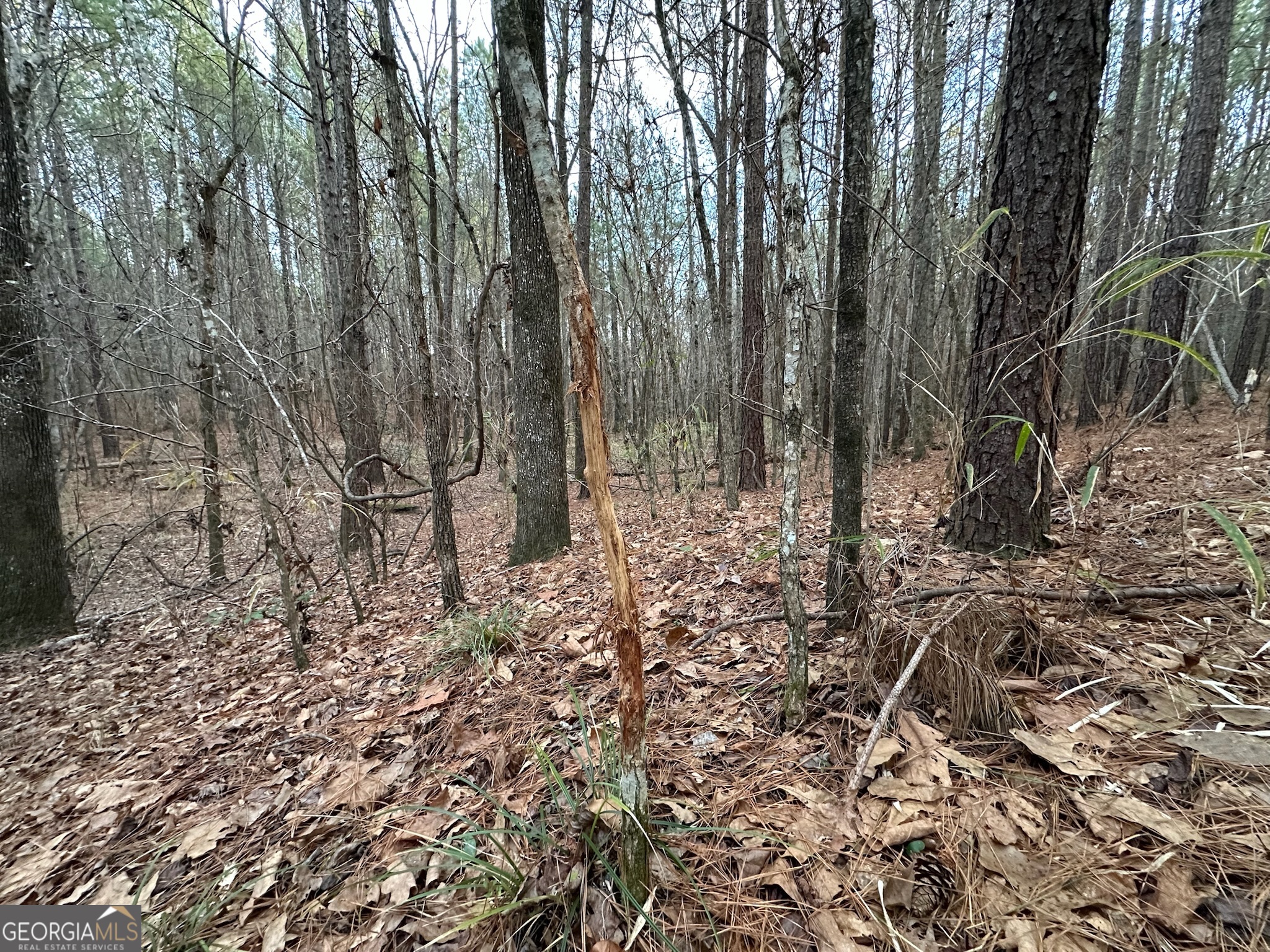 198 Culverton Church Road Sparta, GA 31087 - Photo 63 of 94