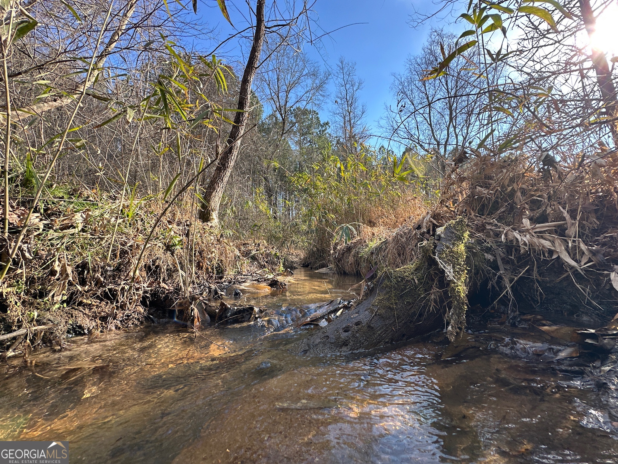 198 Culverton Church Road Sparta, GA 31087 - Photo 64 of 94