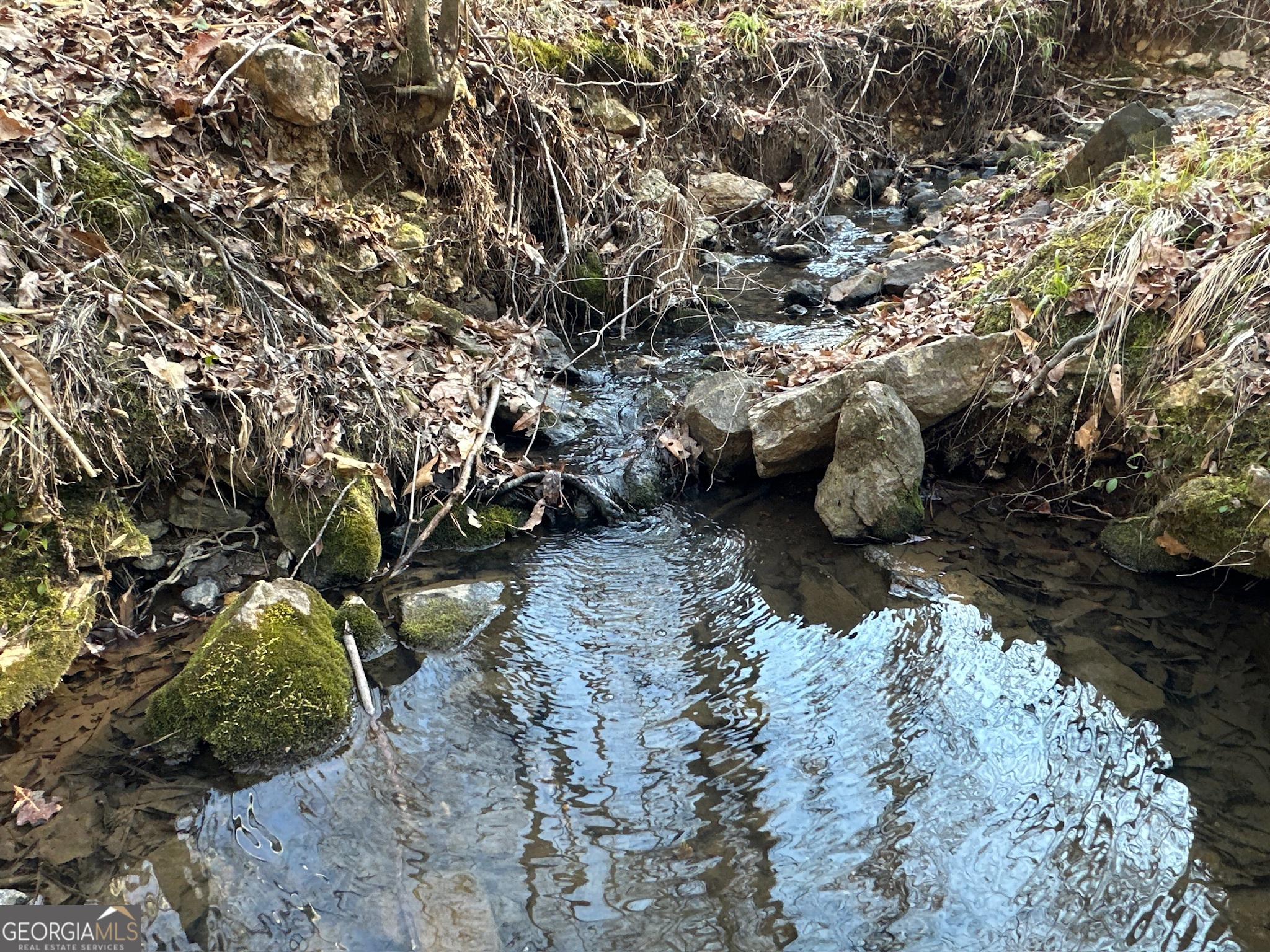 198 Culverton Church Road Sparta, GA 31087 - Photo 66 of 94 a view of a yard with plants and trees