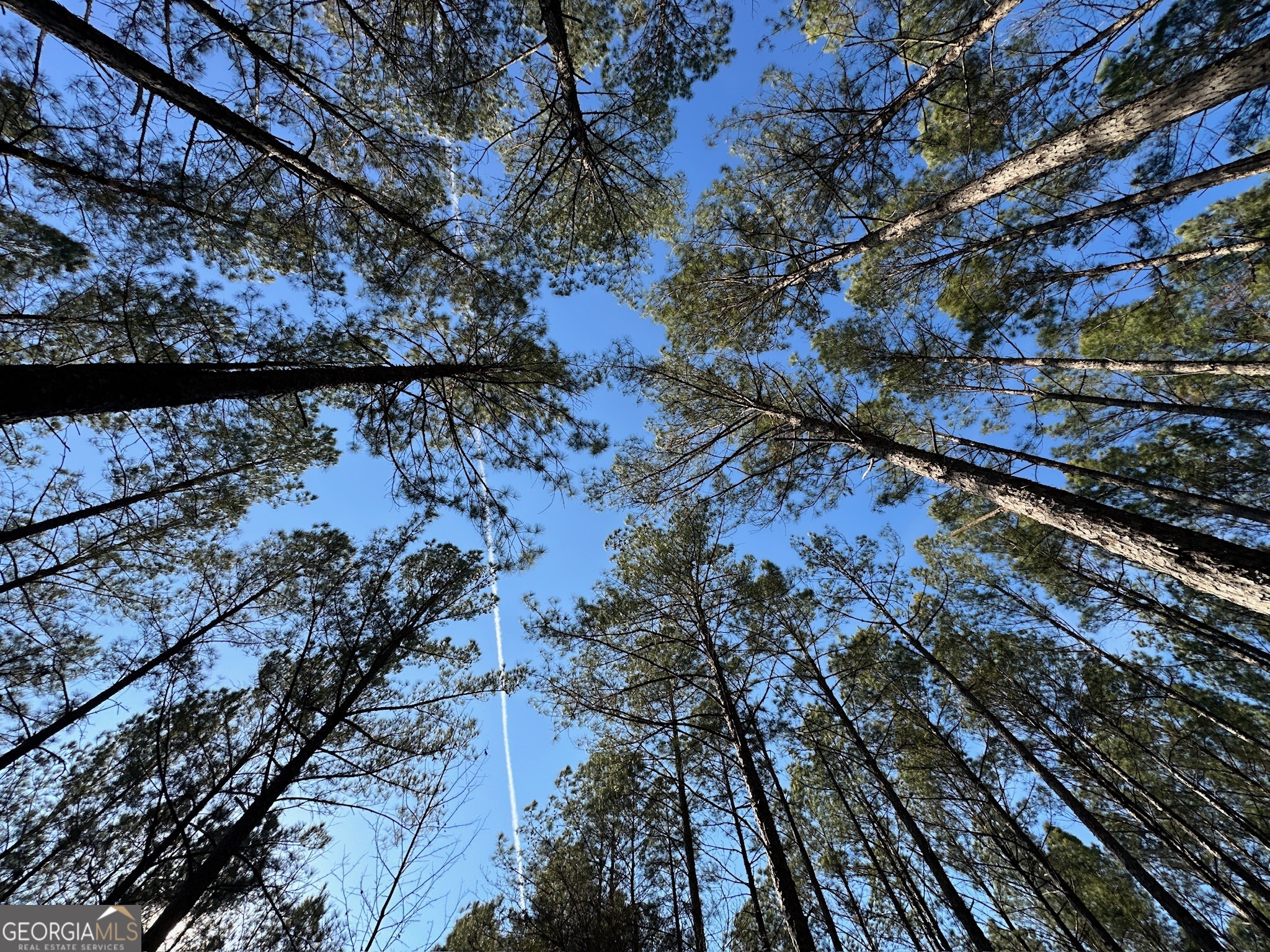 198 Culverton Church Road Sparta, GA 31087 - Photo 68 of 94 a backyard of a house