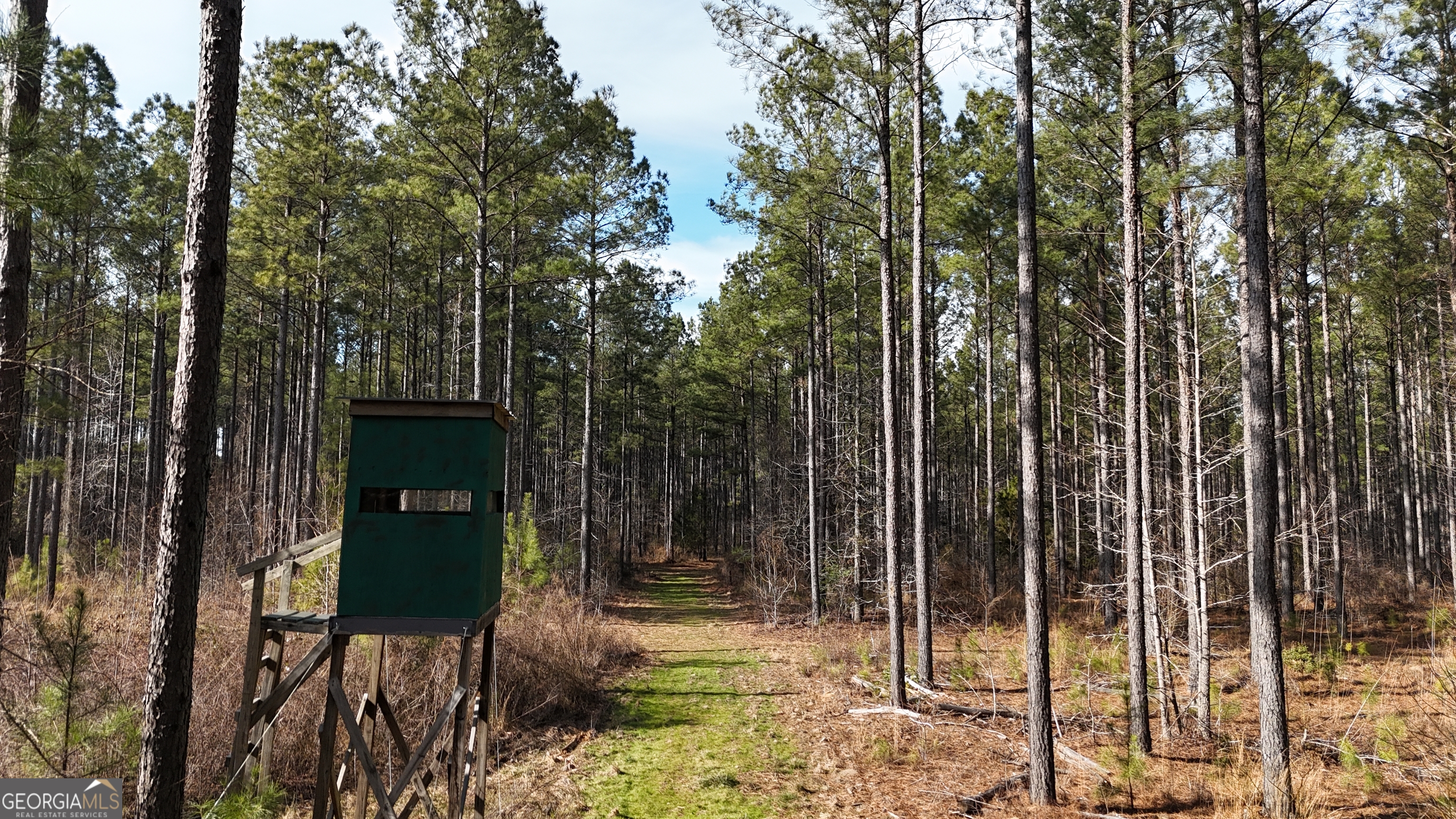 198 Culverton Church Road Sparta, GA 31087 - Photo 7 of 94