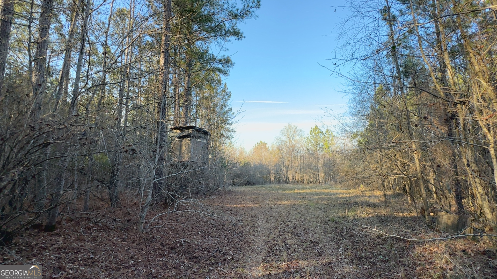 198 Culverton Church Road Sparta, GA 31087 - Photo 73 of 94 a view of a backyard of the house
