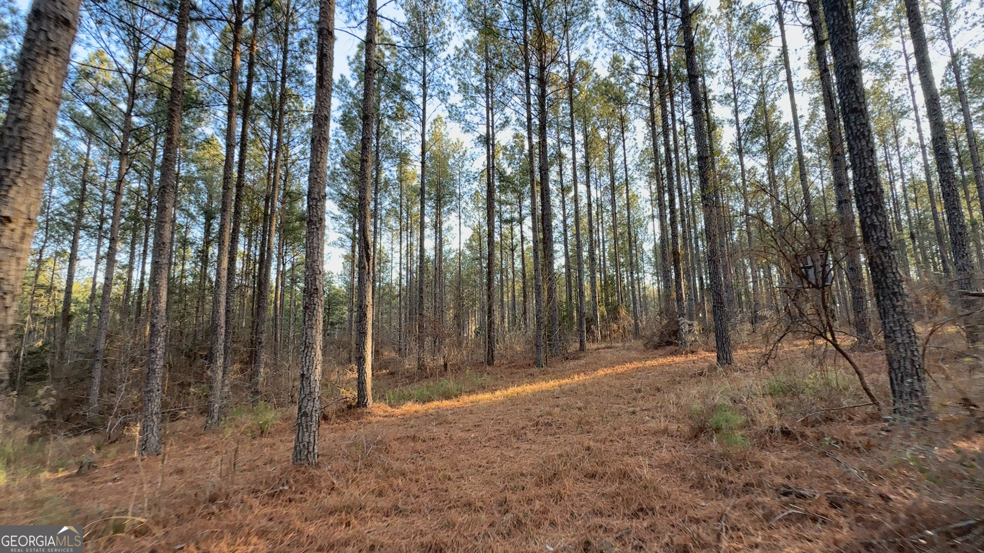 198 Culverton Church Road Sparta, GA 31087 - Photo 75 of 94