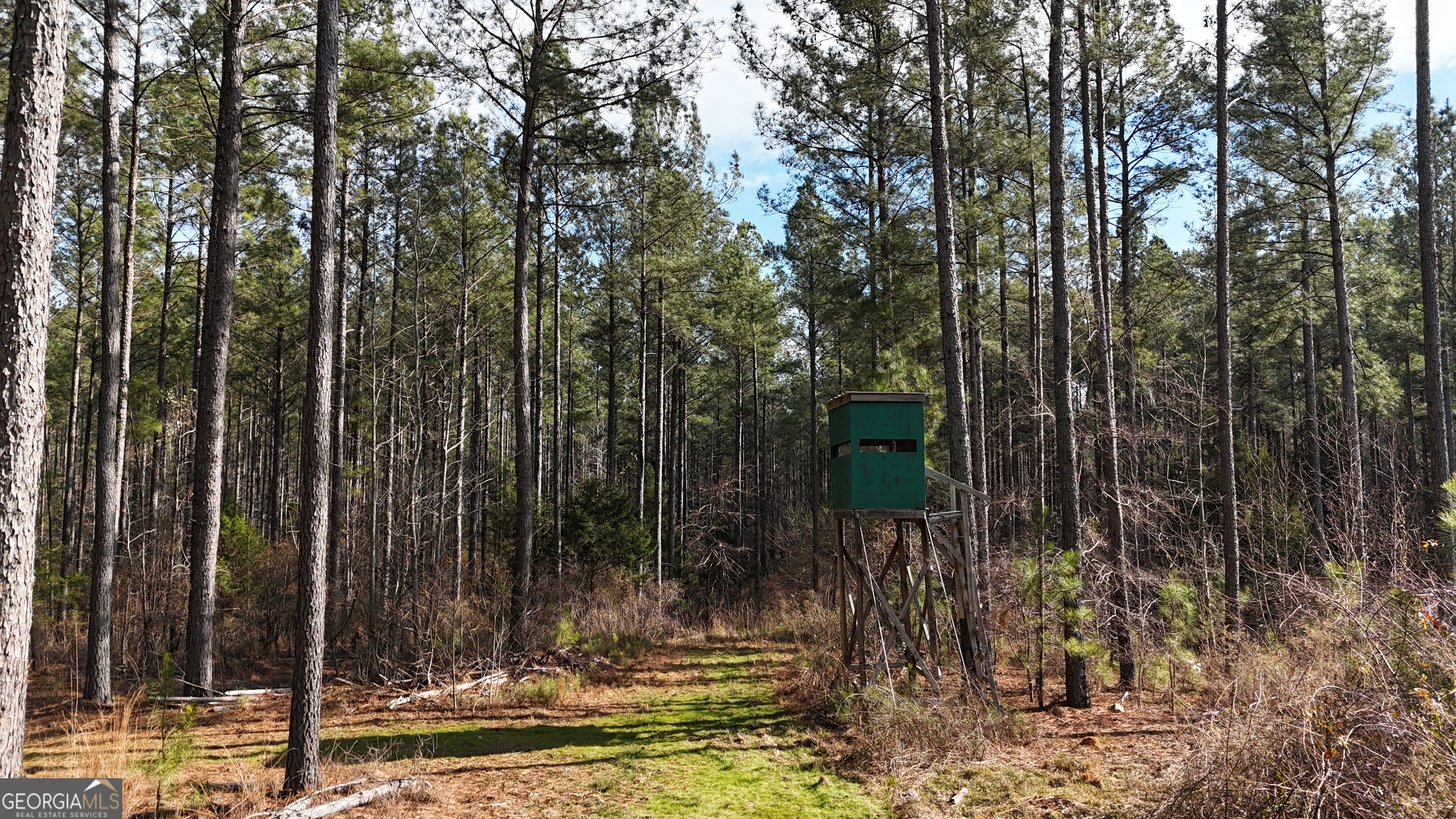 198 Culverton Church Road Sparta, GA 31087 - Photo 8 of 94 a view of outdoor space with street view