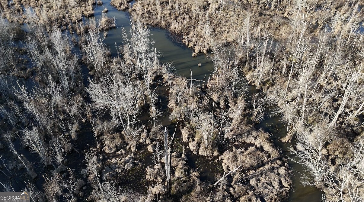 198 Culverton Church Road Sparta, GA 31087 - Photo 81 of 94