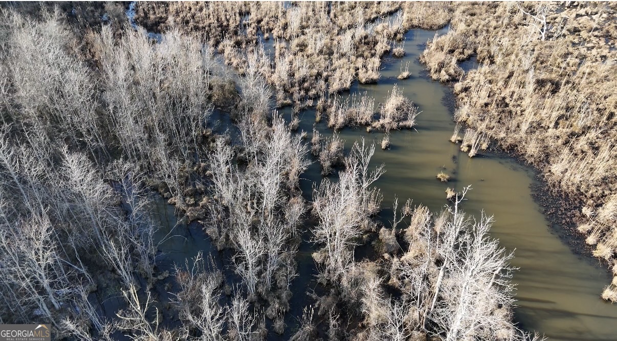 198 Culverton Church Road Sparta, GA 31087 - Photo 82 of 94