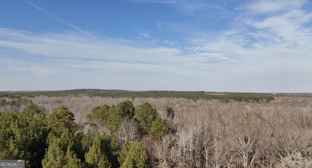 198 Culverton Church Road Sparta, GA 31087 - Photo 85 of 94