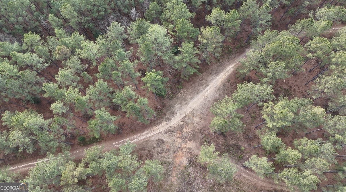 198 Culverton Church Road Sparta, GA 31087 - Photo 88 of 94