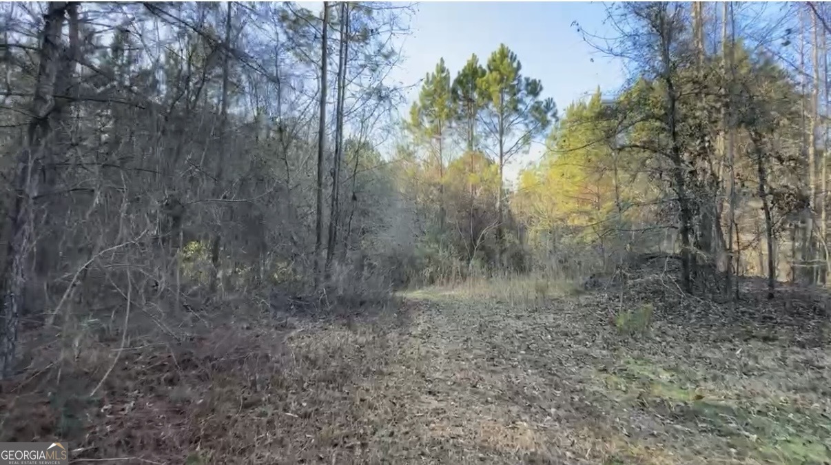 198 Culverton Church Road Sparta, GA 31087 - Photo 89 of 94 a view of a yard