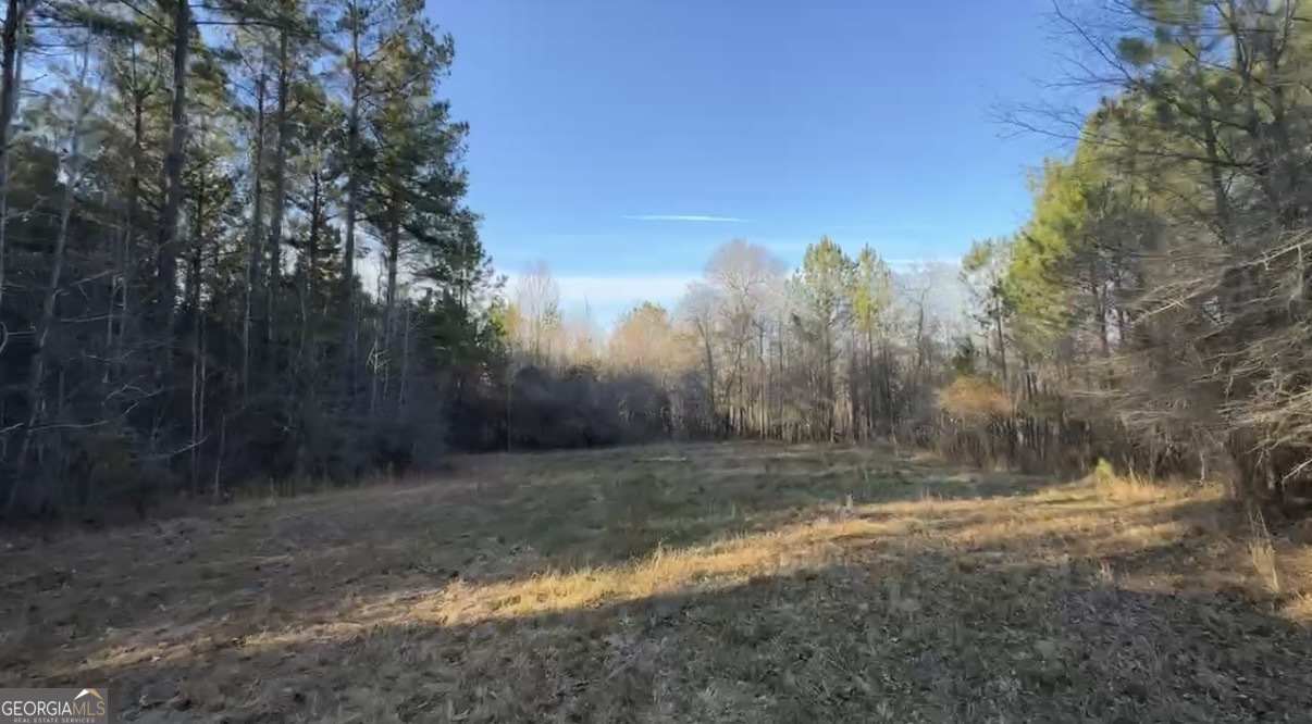 198 Culverton Church Road Sparta, GA 31087 - Photo 90 of 94 a view of a yard with trees in the background
