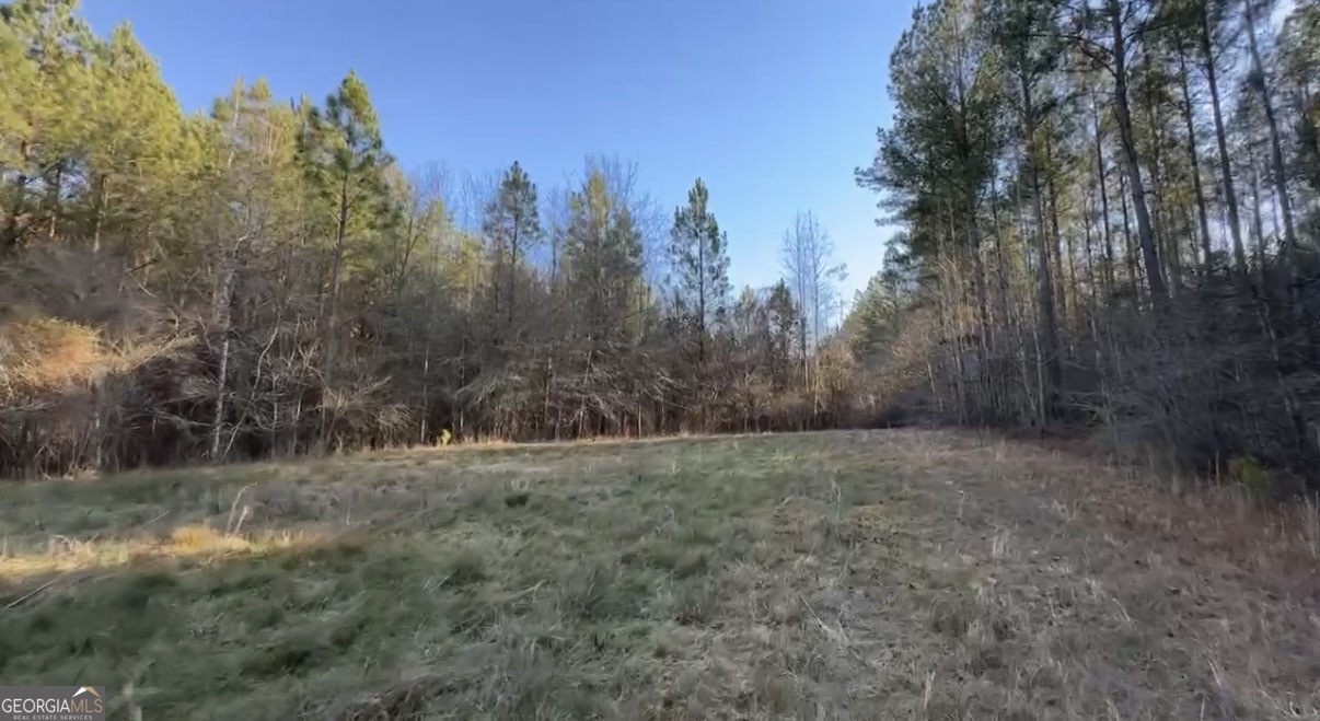 198 Culverton Church Road Sparta, GA 31087 - Photo 91 of 94 a view of a field with trees in the background