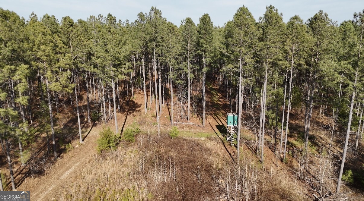 198 Culverton Church Road Sparta, GA 31087 - Photo 92 of 94 a view of an outdoor space and a yard
