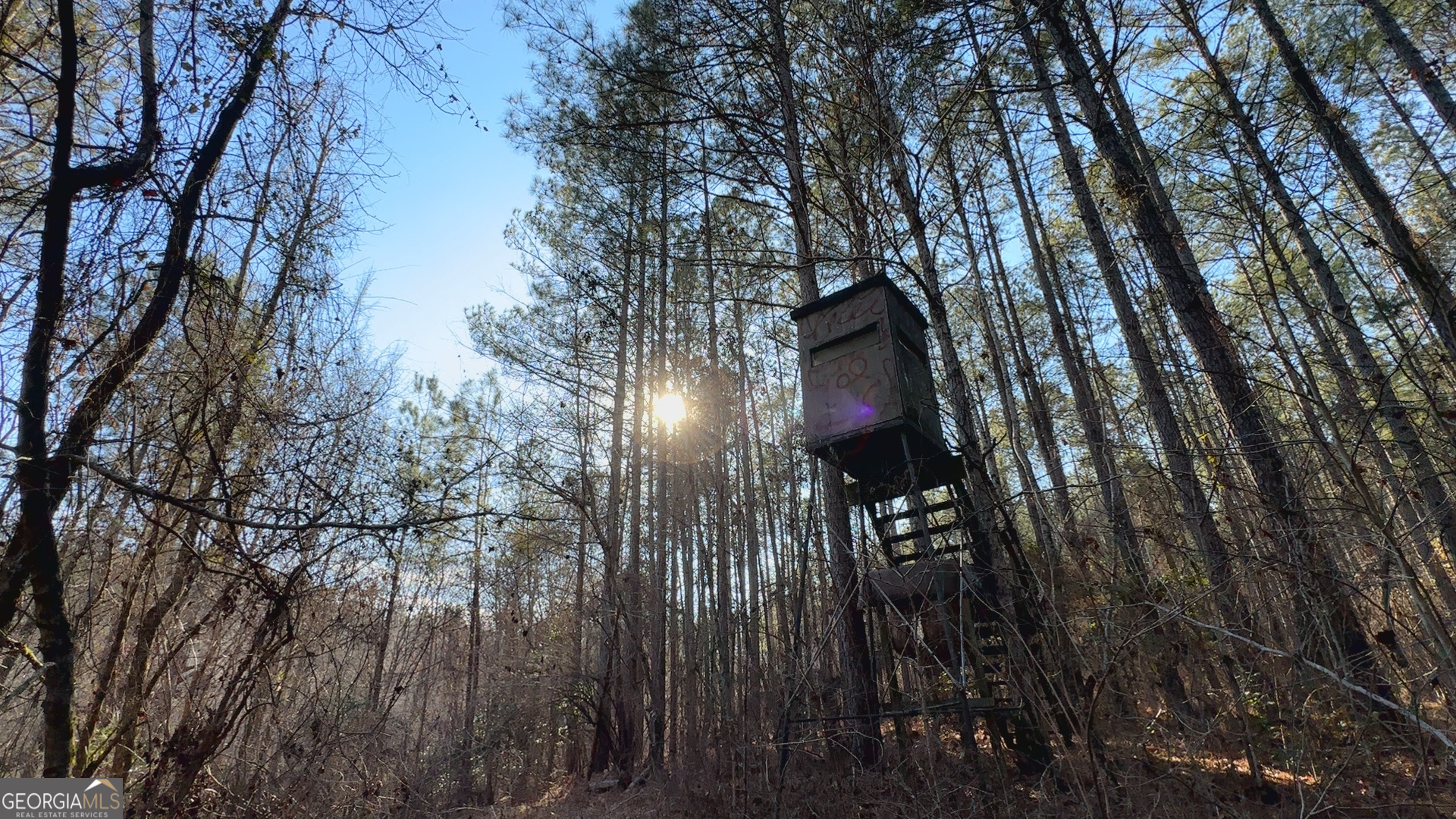198 Culverton Church Road Sparta, GA 31087 - Photo 93 of 94 a view of a backyard of the house