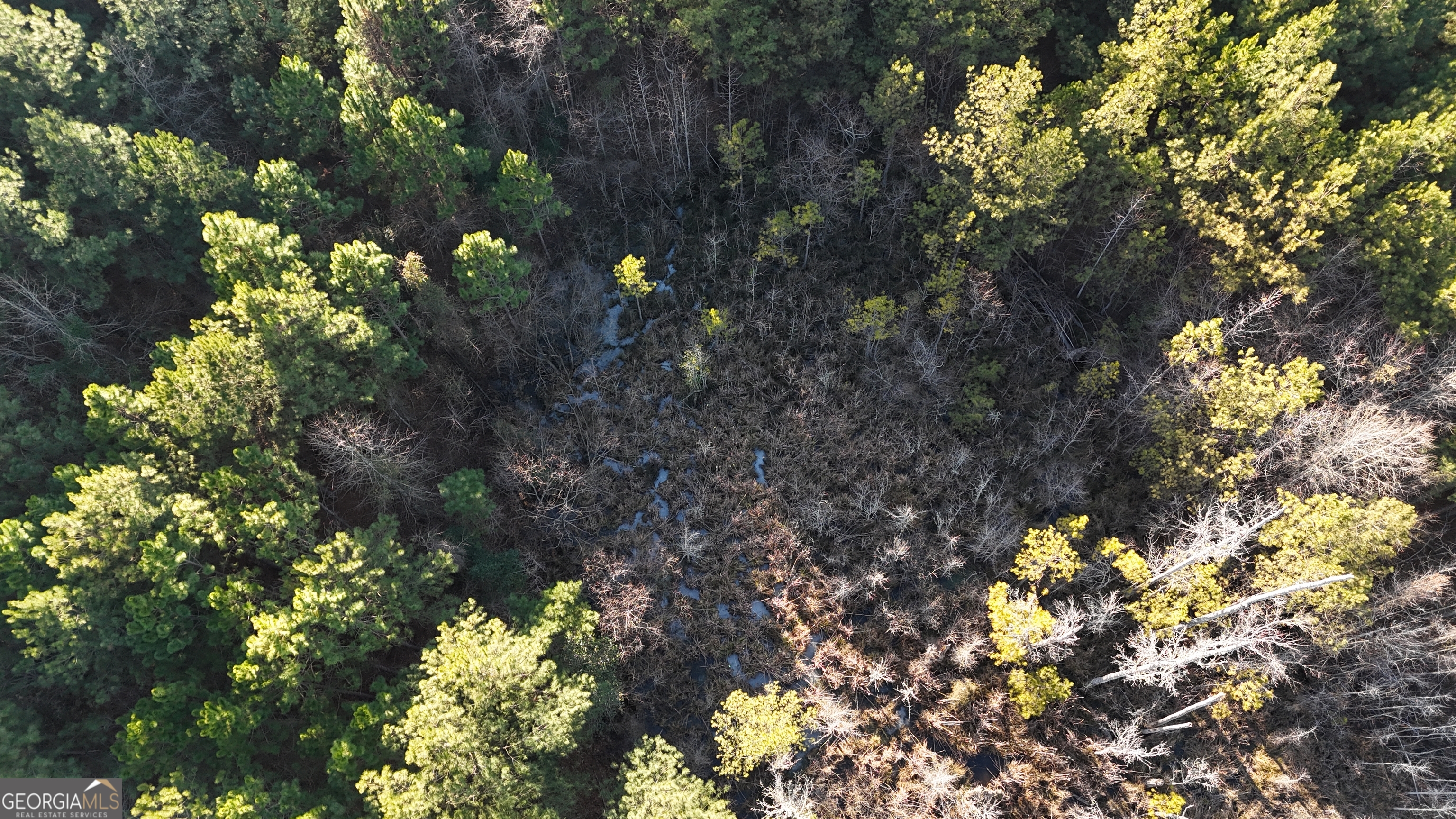 198 Culverton Church Road Sparta, GA 31087 - Photo 10 of 94