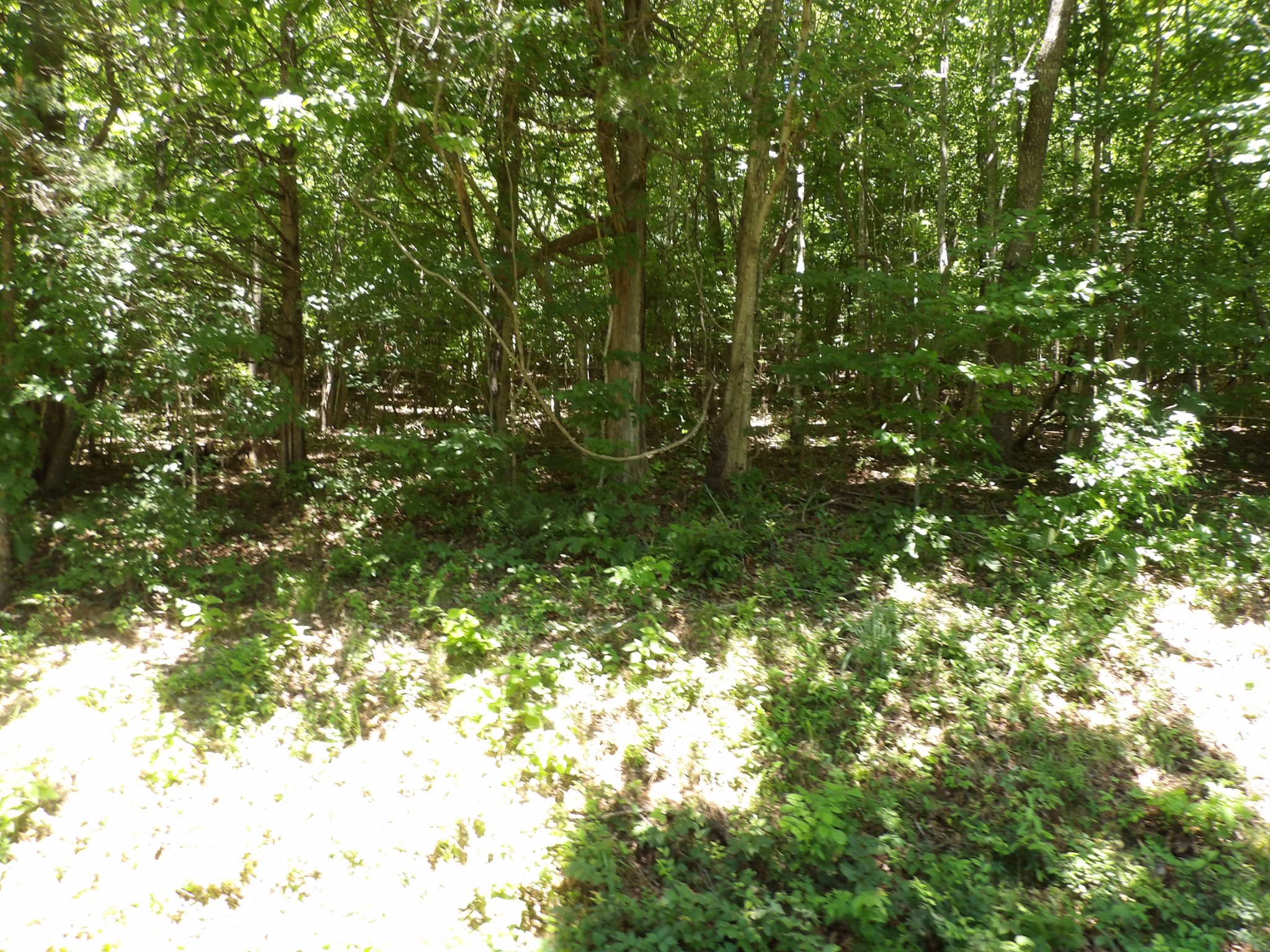 587 West Little Richland Road Waverly, TN 37185 - Photo 22 of 26