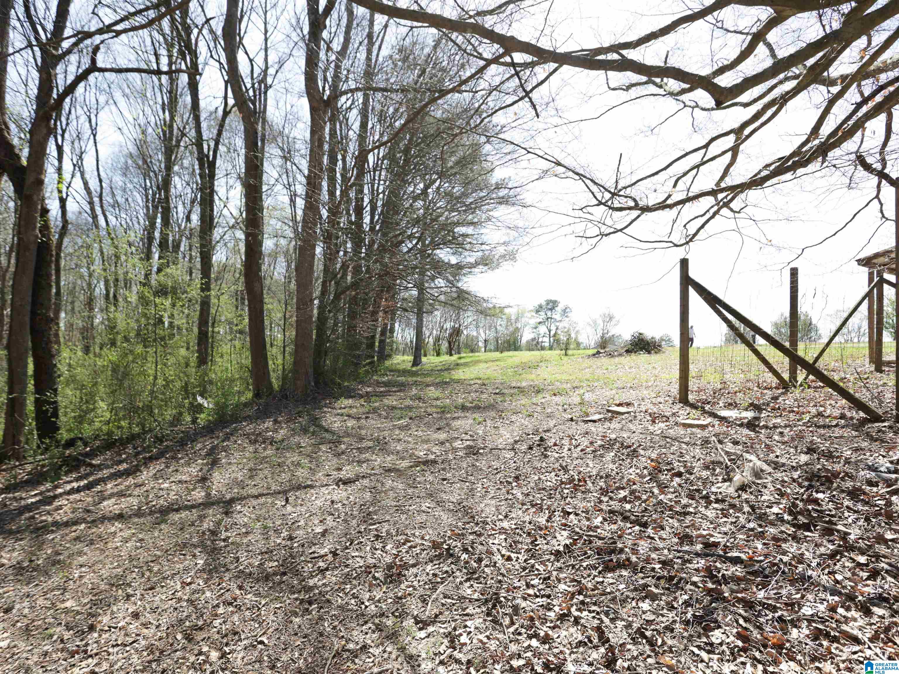 879 Timmerman Road Blountsville, AL 35031 - Photo 67 of 72