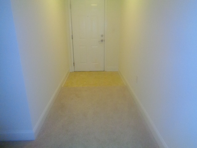 315 Lookover Drive, Unit WALK IN LEVEL INTERIOR Anderson, SC 29621 - Photo 11 of 36 Gallery Image 11