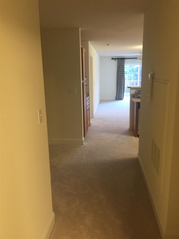 315 Lookover Drive, Unit WALK IN LEVEL INTERIOR Anderson, SC 29621 - Photo 31 of 36 Gallery Image 31