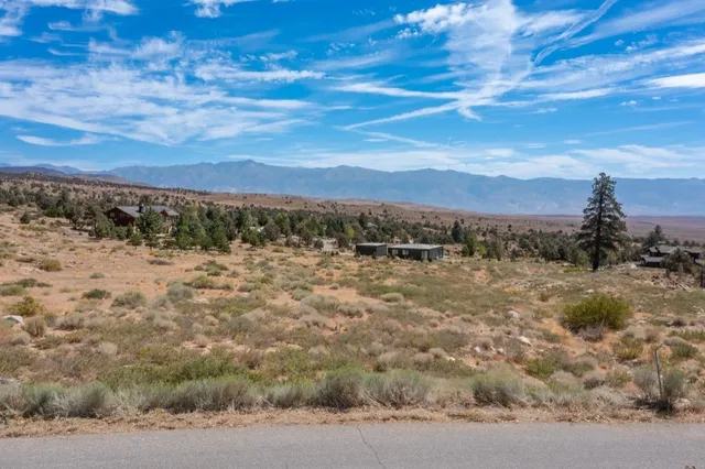 a view of a dry field with trees in the background