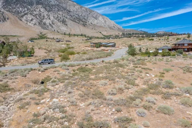 a view of a dry yard with trees