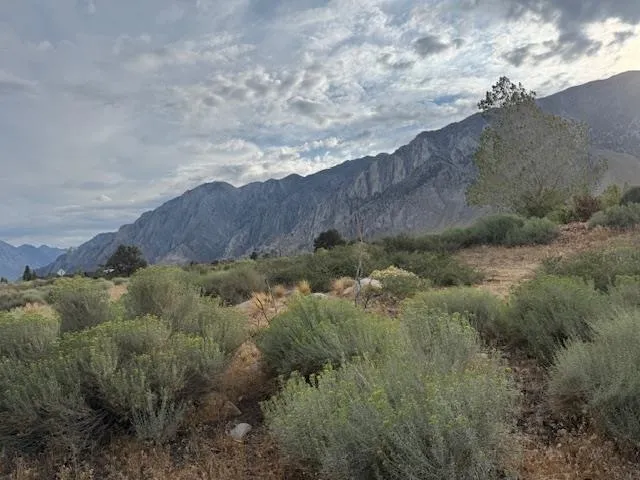 a view of a city with mountain