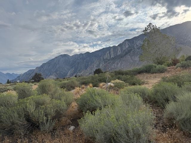 569 Rimrock Drive, Unit 24 Swall Meadows, CA 93514 - Photo 8 of 24