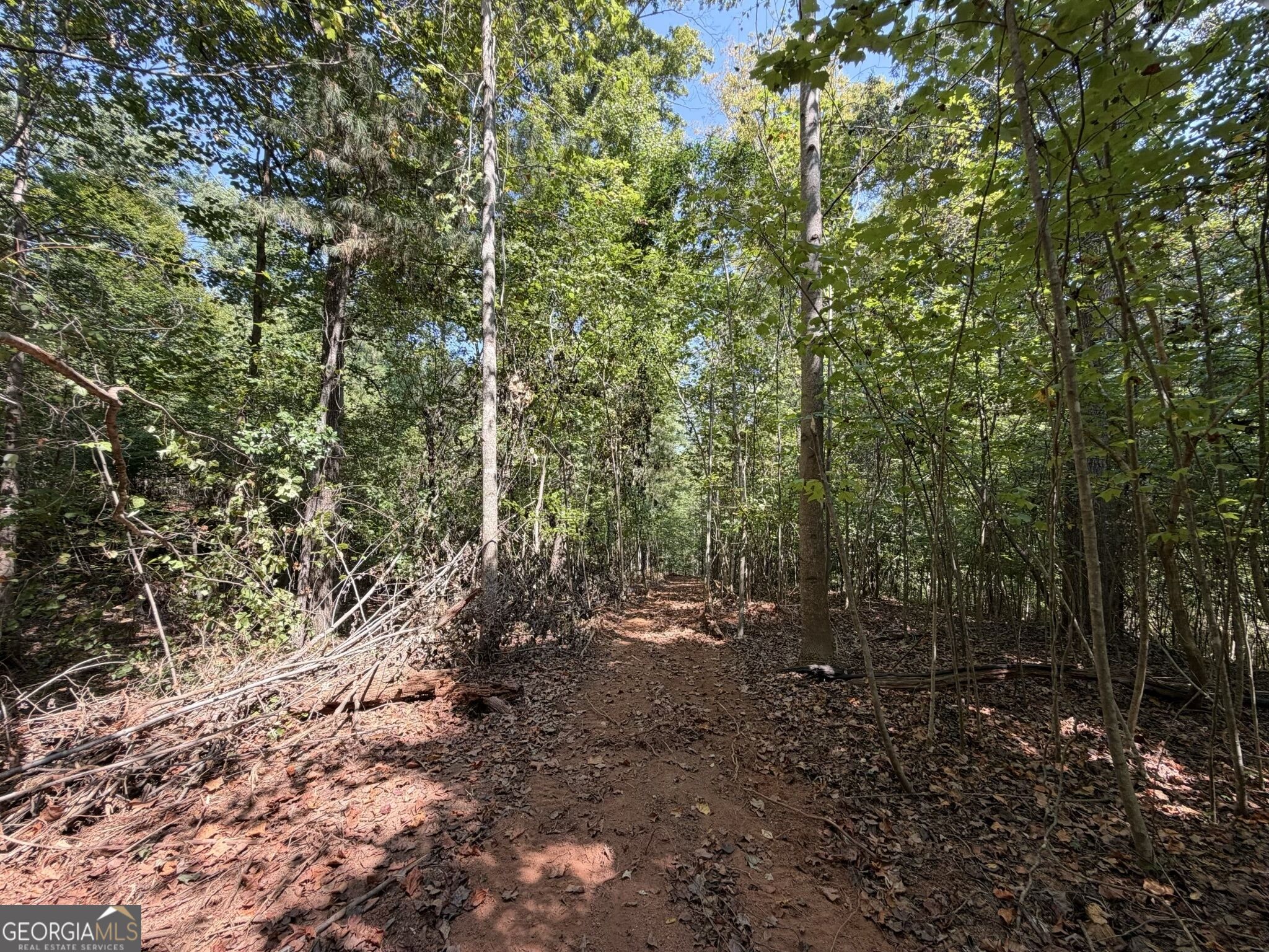 11 Bunch Road Tignall, GA 30668 - Photo 27 of 81 Gallery Image 27