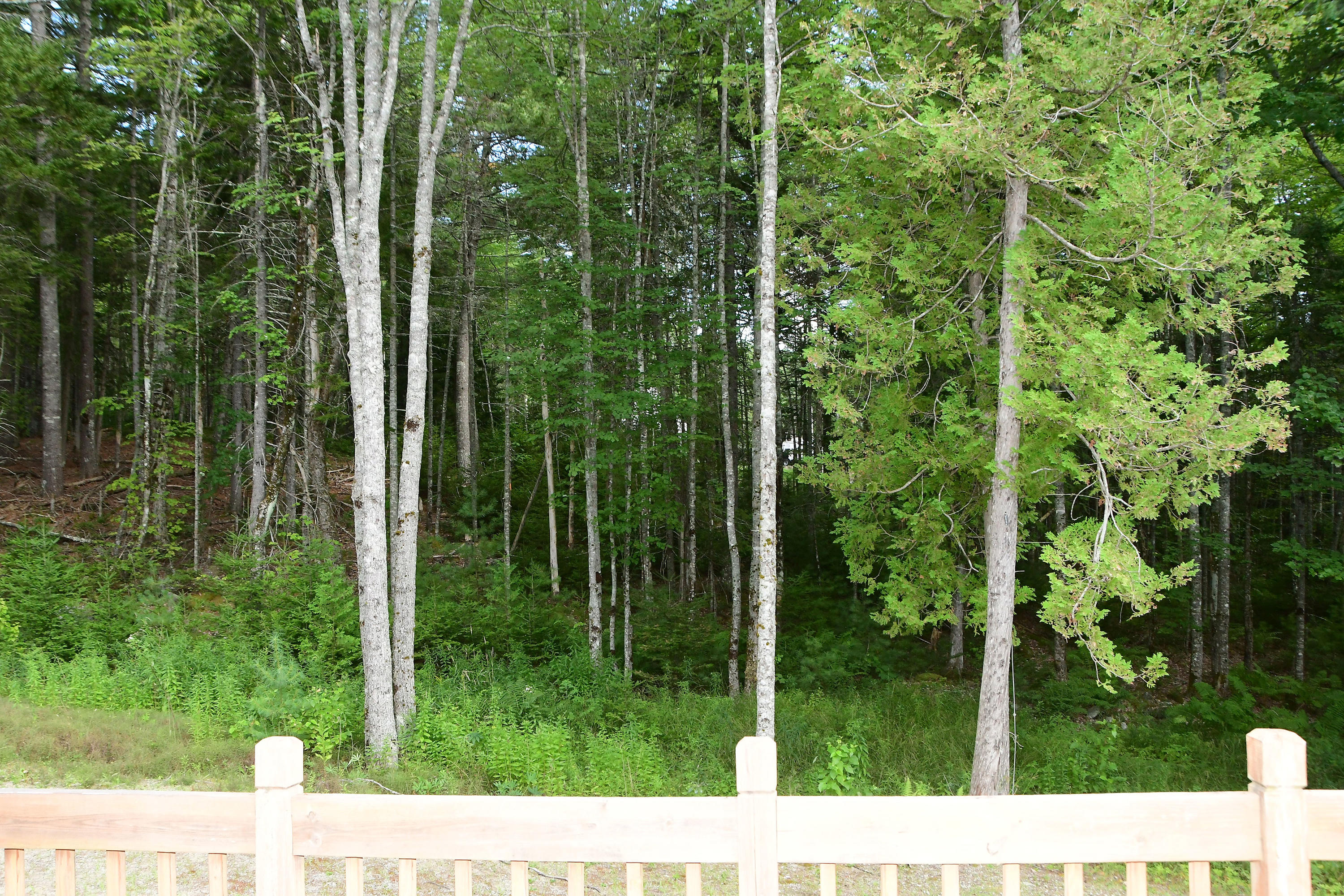 39 Grandview Road Ellsworth, ME 04605 - Photo 42 of 44 39 GrandView_010