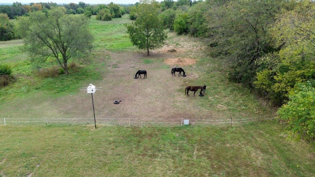 314 Northeast 550th Road Warrensburg, MO 64093 - Photo 14 of 73